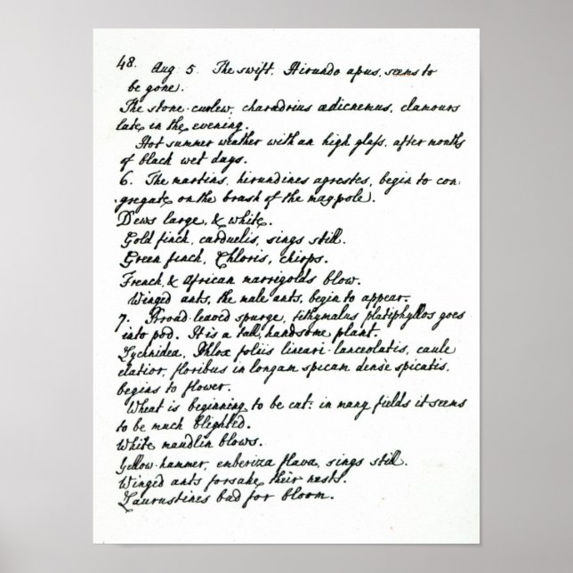 En sida från tidningen Rev. James Woodforde Poster (Framsidan)