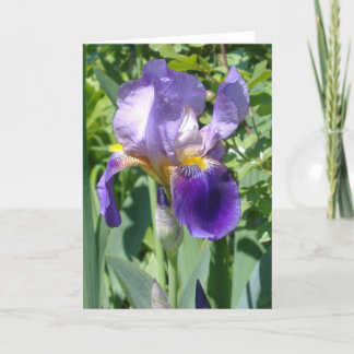 en singelperfektiris kort