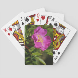 En singelvild steg casinokort