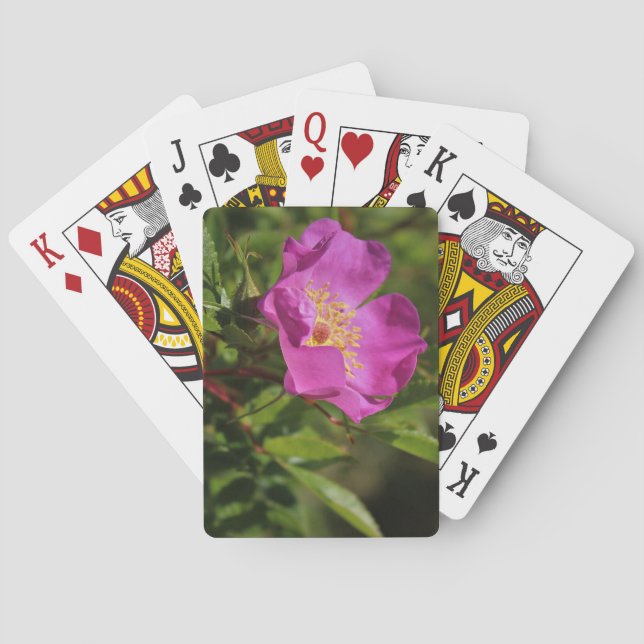 En singelvild steg casinokort (Baksidan)