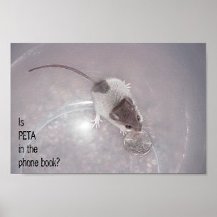 En sist appell poster