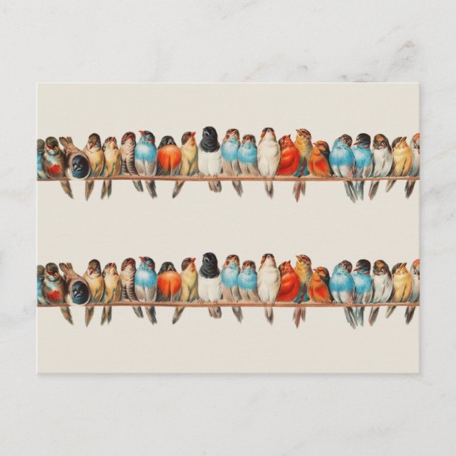 En sittplats för fåglar av Hector Giacomelli Vykort (Framsida)