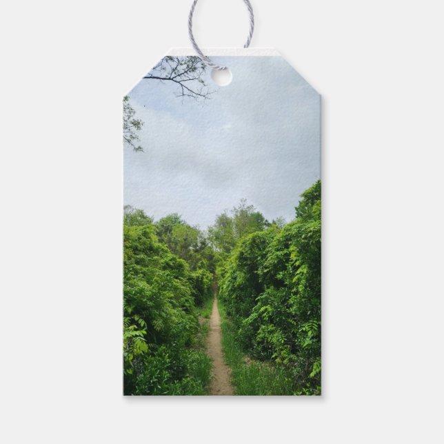 en skog presentetikett (Framsidan)