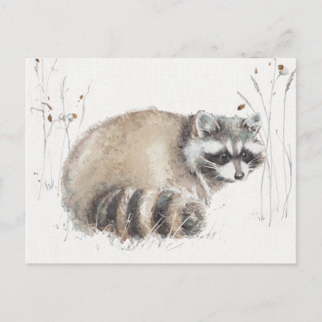 En skogsmark går X Vykort (Framsida)