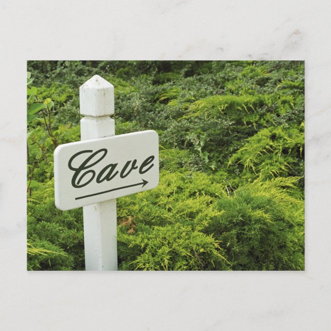 En skylt som pekar på källaren vin (grottan) i vykort (Framsida)