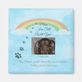 En smula ljus bortom regnbågen magnet