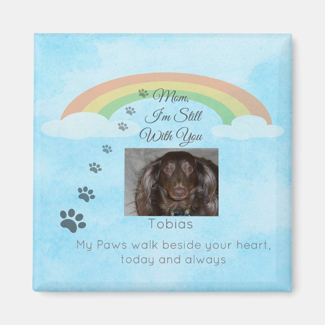 En smula ljus bortom regnbågen magnet (Framsidan)