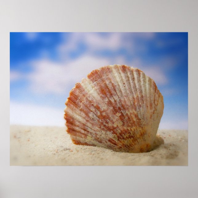 En Snäcka i handtaget Poster (Framsidan)