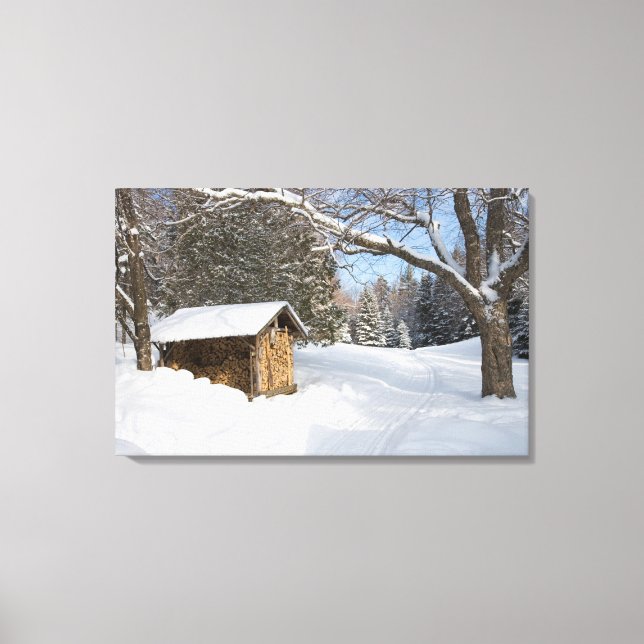 En snöig scen vid AMC:s Little Lyford Pond Canvastryck (Framsida)