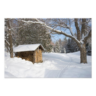 En snöig scen vid AMC:s Little Lyford Pond Fototryck