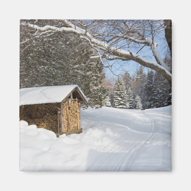 En snöig scen vid AMC:s Little Lyford Pond Magnet (Framsidan)
