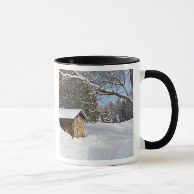 En snöig scen vid AMC:s Little Lyford Pond Mugg (Höger)