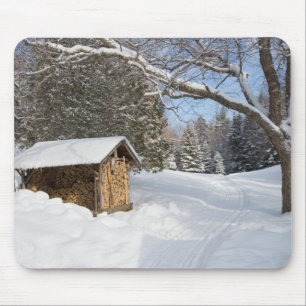En snöig scen vid AMC:s Little Lyford Pond Musmatta