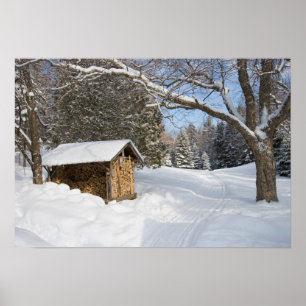 En snöig scen vid AMC:s Little Lyford Pond Poster