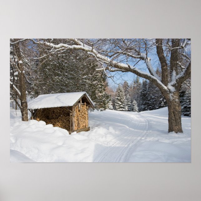 En snöig scen vid AMC:s Little Lyford Pond Poster (Framsidan)