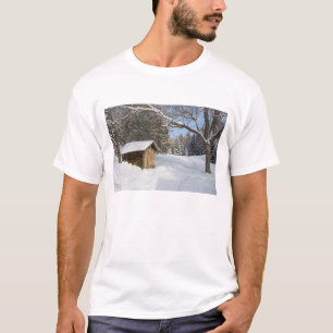 En snöig scen vid AMC:s Little Lyford Pond Tee