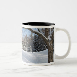 En snöig scen vid AMC:s Little Lyford Pond Två-Tonad Mugg