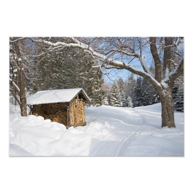 En snöscen på AMC:s lilla Lyford Pond Fototryck (Framsidan)