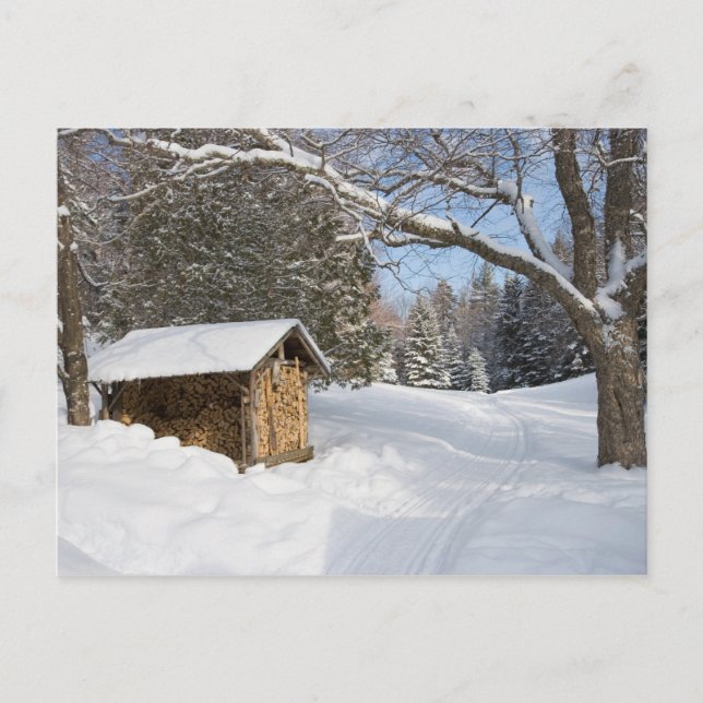 En snöscen på AMC:s lilla Lyford Pond Vykort (Framsida)