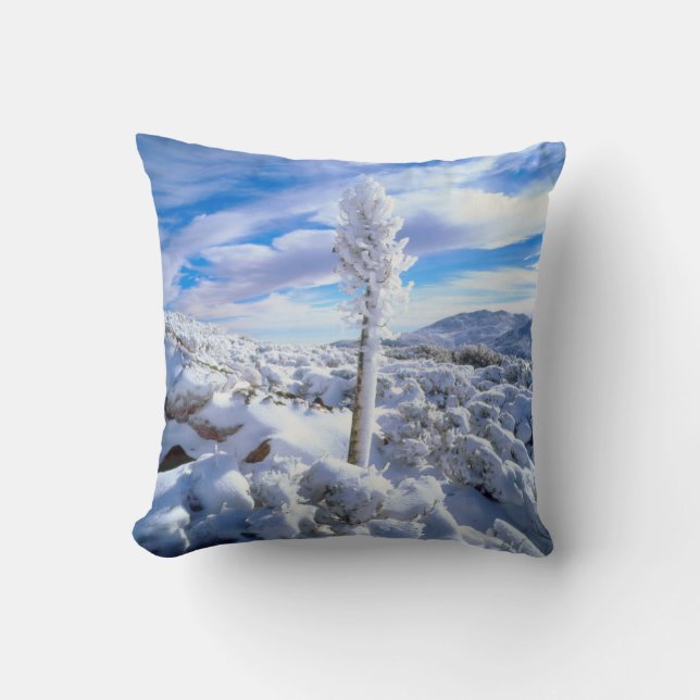 En snötäckt yucca kudde (Framsida)