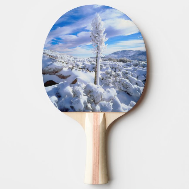 En snötäckt yucca pingisracket (Framsidan)