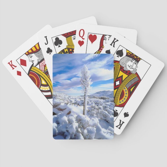En snötäckt yucca spel kort (Baksidan)