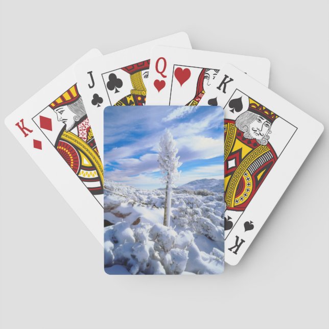 En snötäckt yucca spelkort (Baksidan)
