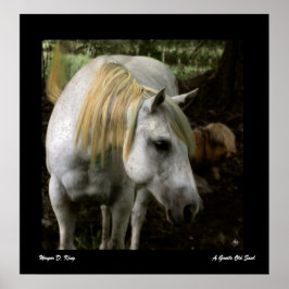 En snygg gammal själ Poster