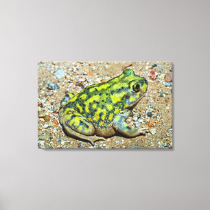 En soffa Spadefoot padda Canvastryck