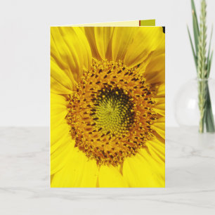 En sol blomma kort