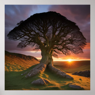En solid Träd i naturens embrace Poster