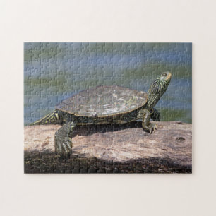 En solig dag målad Turtle Pussel