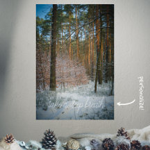 En solig vinterdag i gräs