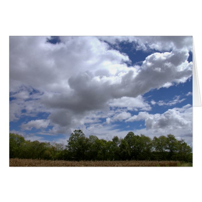 En solnylördag i Land #21 Hälsningskort (Framsidan Horizontal)