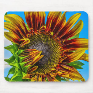 En solros Mousepad Musmatta
