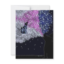 En sommarnatt med Sirius