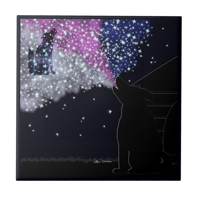 En sommarnatt med Sirius Kakelplatta (Framsidan)