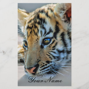 En söt baby-tiger