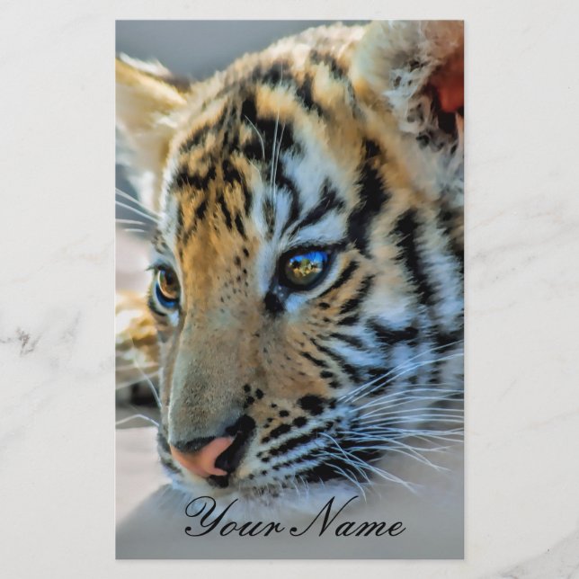 En söt baby-tiger (Framsida)