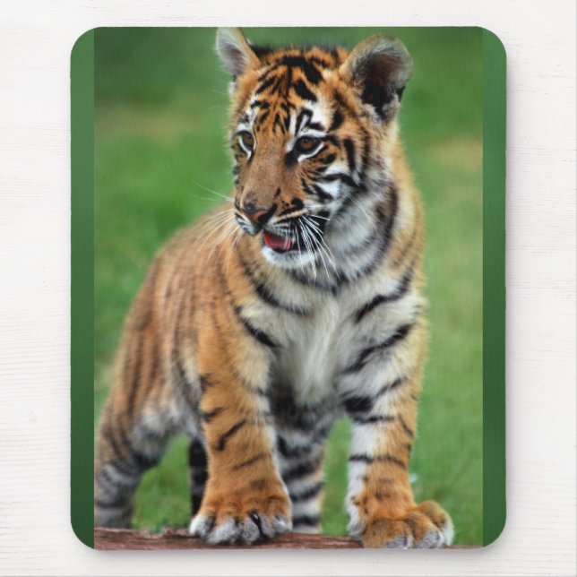 En söt baby-tiger musmatta (Framsidan)