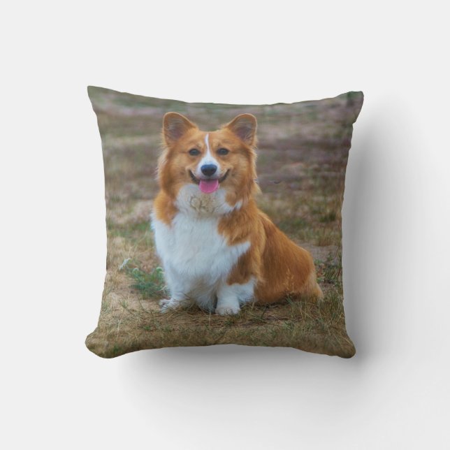 En söt Corgi hund dekorativ kudde (Framsida)