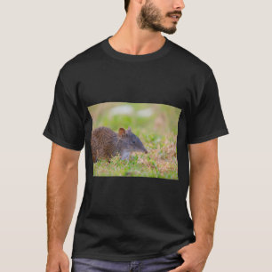 En söt Crash Bandicoot som söker föda T Shirt