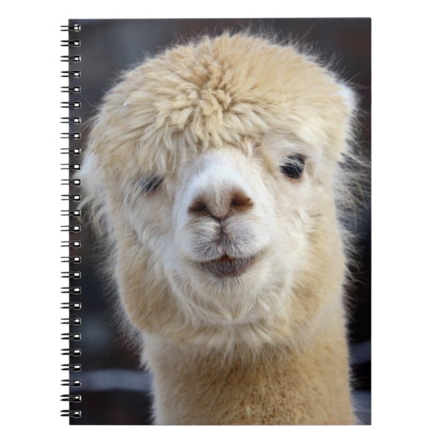 En söt fluffy ansikte i en alpaca anteckningsbok (Framsidan)
