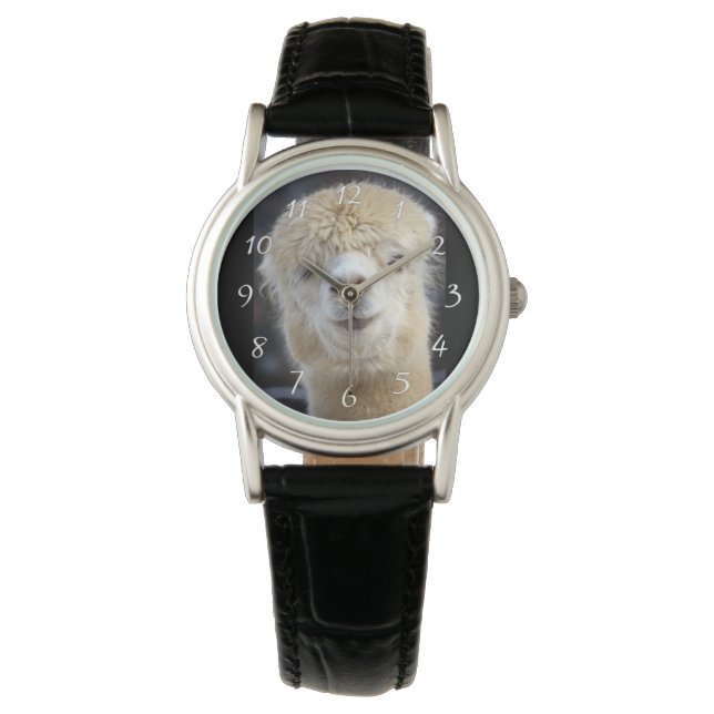 En söt fluffy ansikte i en alpaca armbandsur (Framsida)