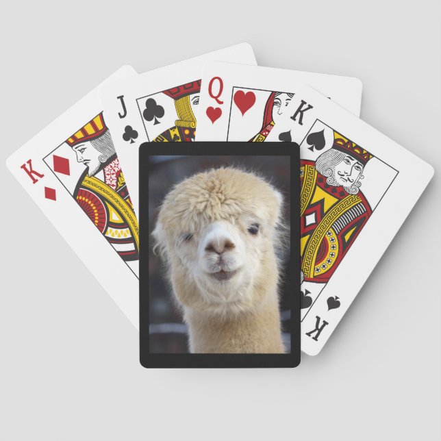 En söt fluffy ansikte i en alpaca casinokort (Baksidan)