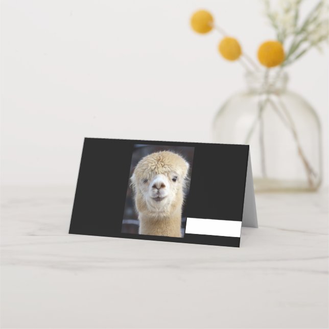 En söt fluffy ansikte i en alpaca placeringskort (Framsida)