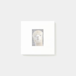 En söt fluffy ansikte i en alpaca post-it block
