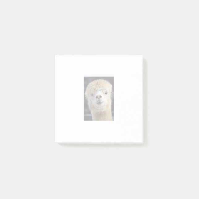En söt fluffy ansikte i en alpaca post-it block (Framsida)