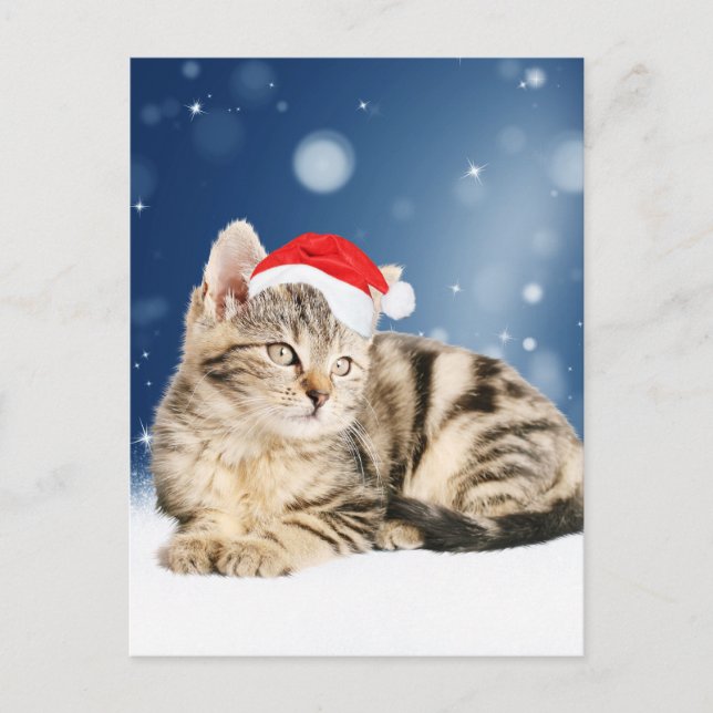 En söt katt som bär röd tomteluva jul snö helg vykort (Framsida)