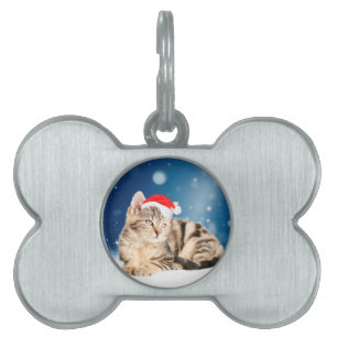 En söt katt som bär röd tomteluva jul snö namnbricka husdjur